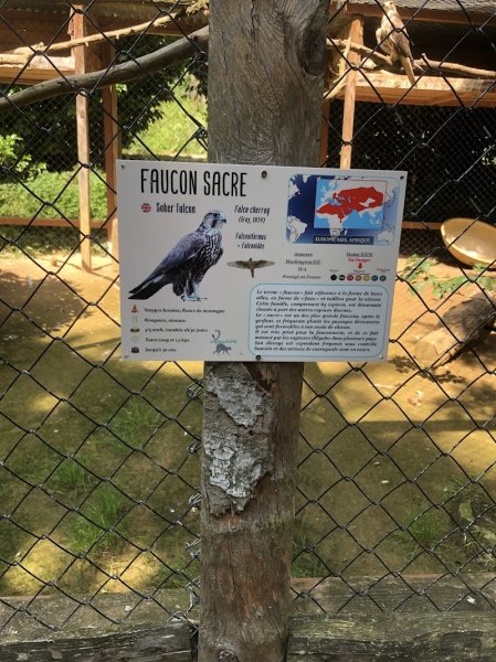 Pension canine la Câline. Pension pour chien. Drome Ardèche Garde de chien - photo 2