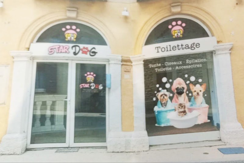 Toilettage stardog - photo 1