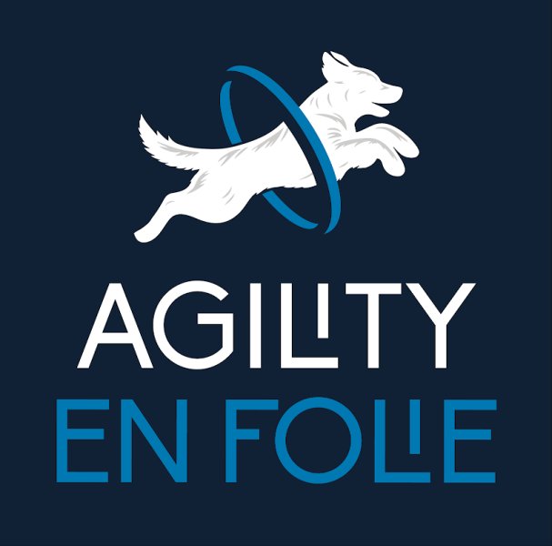 Agility en folie - photo 2