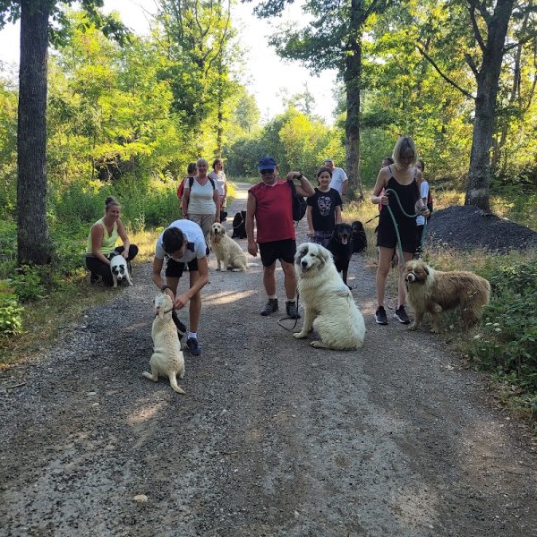 Les Amis Canins de Saint Francois - photo 1