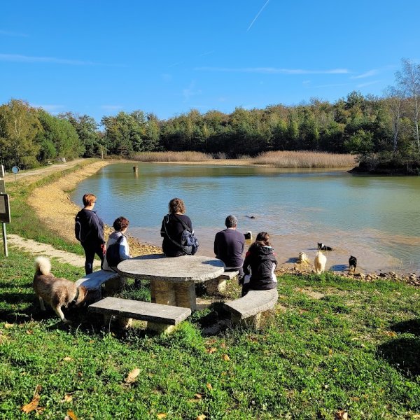 Les Amis Canins de Saint Francois - photo 3