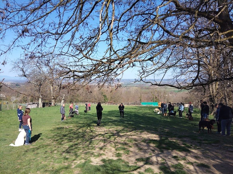 Kindogs: dressage, éducation et étude du comportement canin - photo 1