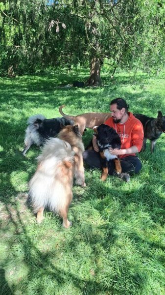 Kindogs: dressage, éducation et étude du comportement canin - photo 2