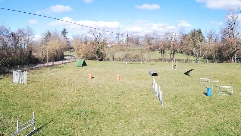 CECT - Education Canine toutes races - photo 1