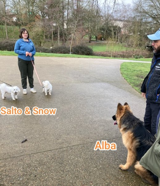 Fun Dog Training- éducateur canin Cholet(49) - photo 2