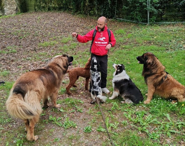 Fun Dog Training- éducateur canin Cholet(49) - photo 3