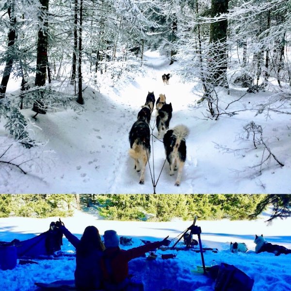 Ecole de chiens de traîneaux - Sensations Nordiques - photo 1