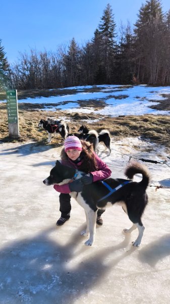 Ecole de chiens de traîneaux - Sensations Nordiques - photo 3