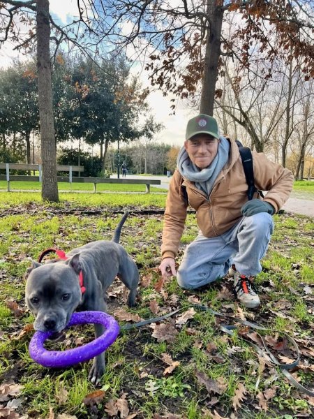 Papatte Douce - Educateur comportementaliste canin - E-boutique spécialisée pour chiens - photo 2
