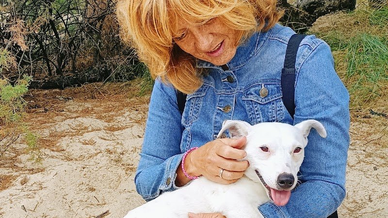 Comportementaliste et éducateur canin Carole Laporte CANICARO Gironde Bordeaux Cestas