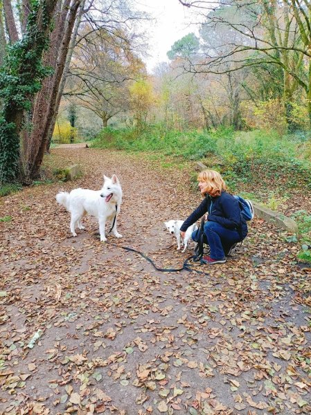Comportementaliste et éducateur canin Carole Laporte CANICARO Gironde Bordeaux Cestas - photo 3