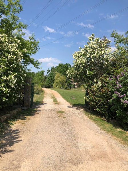 Pension canine des Taravas