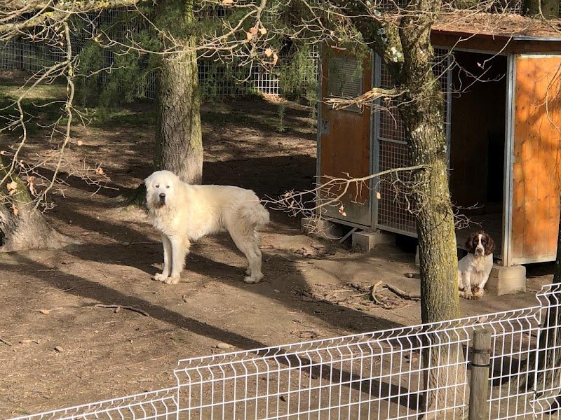 Pension canine des Taravas - photo 3