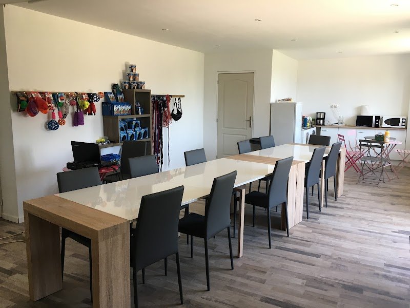 Entre chiens - photo 3