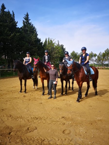 Christelle Poncié Monitrice / coach d'équitation DEJEPS - Dressage/Saut tous niveaux - photo 2