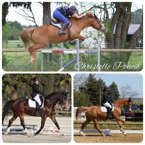Christelle Poncié Monitrice / coach d'équitation DEJEPS - Dressage/Saut tous niveaux - photo 3