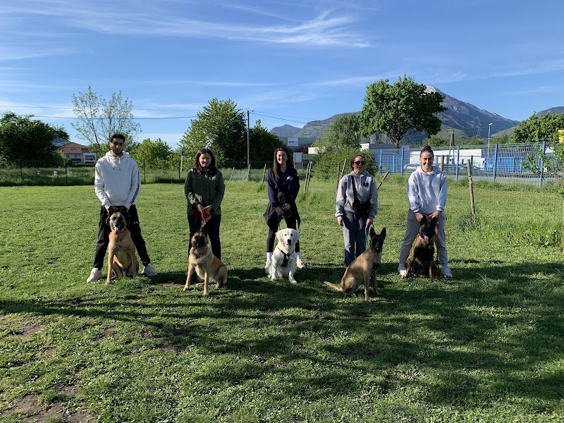 Les Chiens du Paradis - Éducateur et dresseur canin professionnel- Grenoble - photo 2
