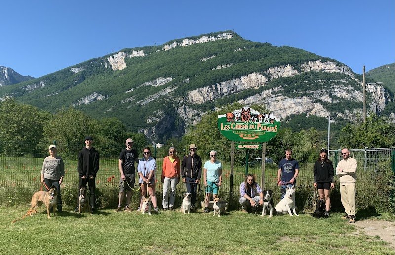 Les Chiens du Paradis - Éducateur et dresseur canin professionnel- Grenoble - photo 3