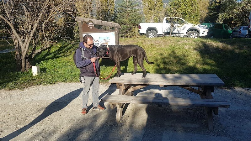 Educateur Canin Comportementaliste. Le Secret des Chiens - photo 2