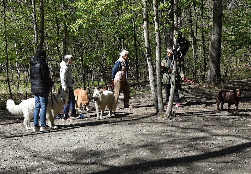 Educateur Canin Comportementaliste. Le Secret des Chiens - photo 3