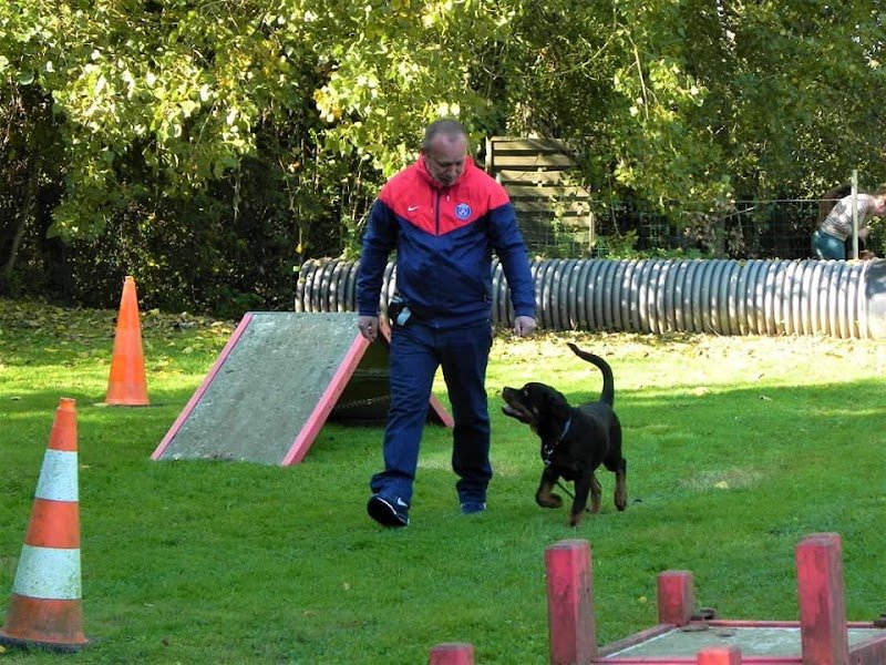 Club Canin de Saint Romain de Colbosc - photo 1