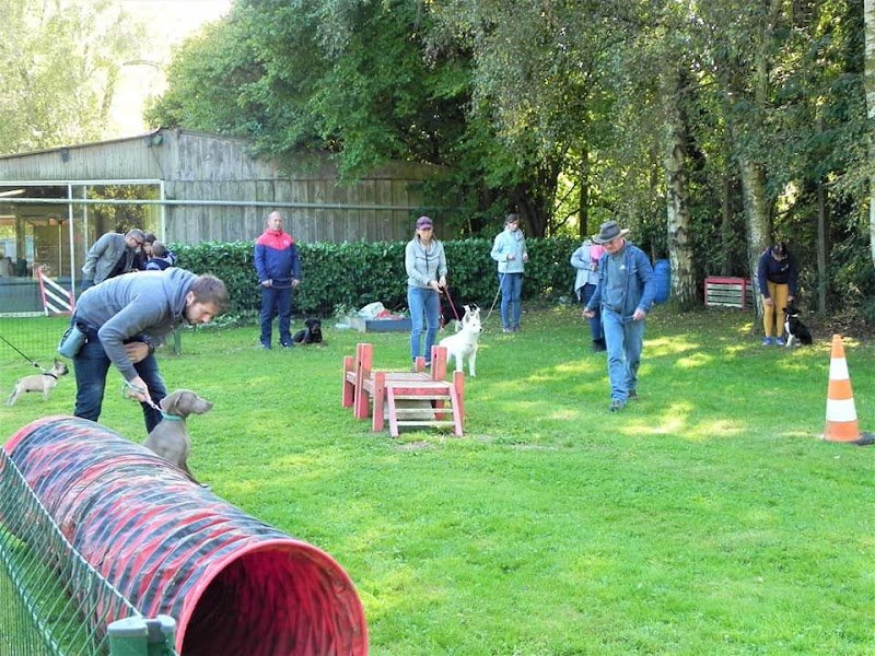 Club Canin de Saint Romain de Colbosc - photo 3