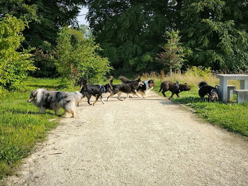 La Clé du Chien, éducateur comportementaliste canin