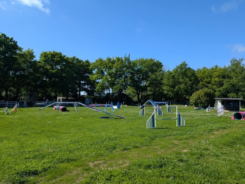 Sport Canin Saint Nazaire - photo 1