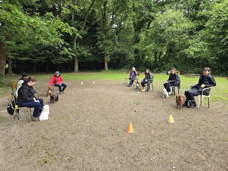 Sport Canin Saint Nazaire - photo 3