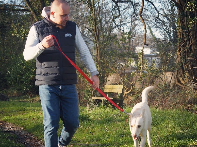 Unicadog, éducateur comportementaliste canin à Saint-Nazaire et Loire Atlantique, 44 - photo 3
