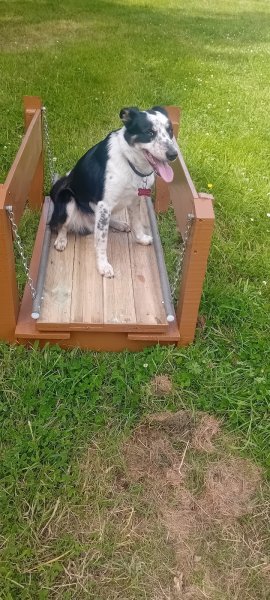 Centre d'éducation canine Saint Sauveuraise - photo 2