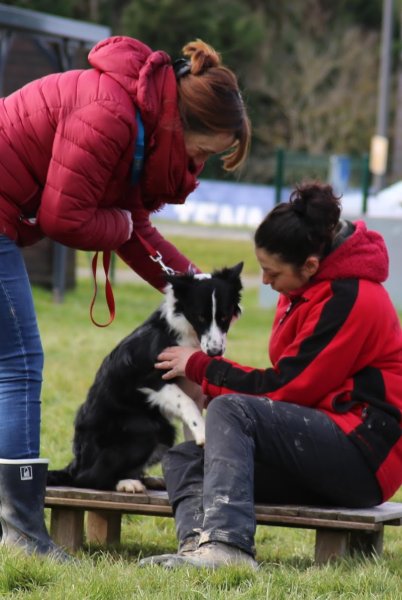 Centre d'Education Canine de Montauban 82 Association - photo 2