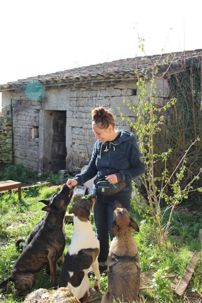 Rivière Positive - Activités canines : mantrailing et nosework - Tarn-et-Garonne et Aveyron - photo 3