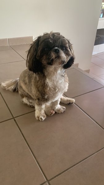 EDUCANIN05 - photo 2