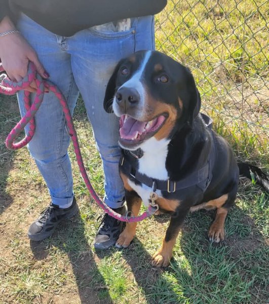 EDUCANIN05 - photo 3