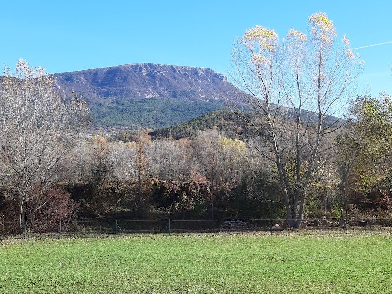 Club canin O'Dali de l'Asse - photo 1