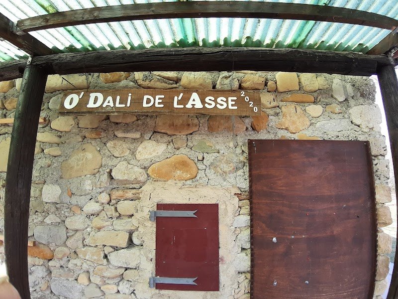 Club canin O'Dali de l'Asse - photo 2