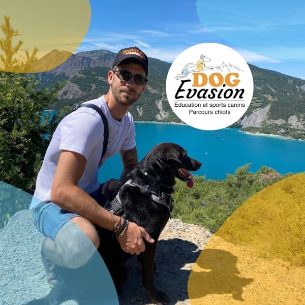 Dog Evasion 05 - photo 1