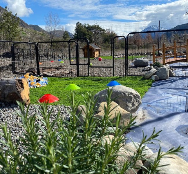 Dog Evasion 05 - photo 2