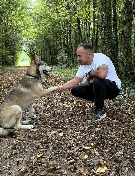 Dogs Education - Educateur comportementaliste canin à Saint-Dizier et Haute-Marne, 52