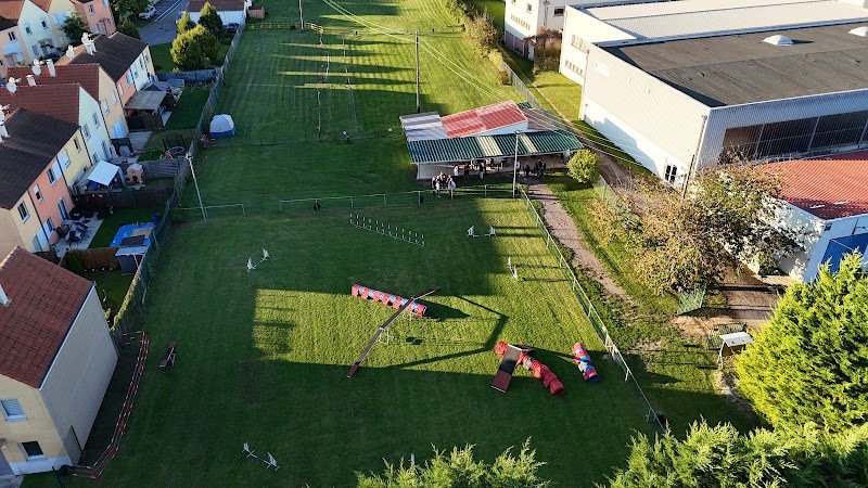 Club Canin CSB Saint Dizier