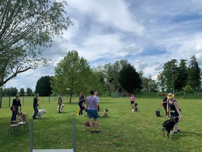 Club Canin CSB Saint Dizier - photo 2