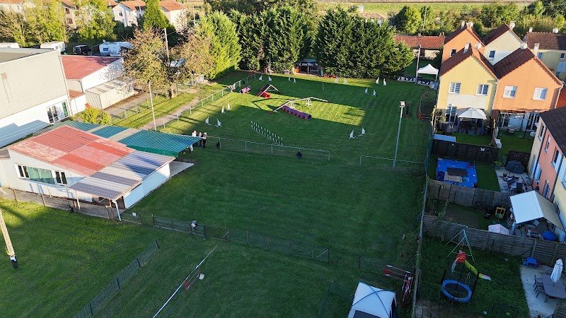 Club Canin CSB Saint Dizier - photo 3