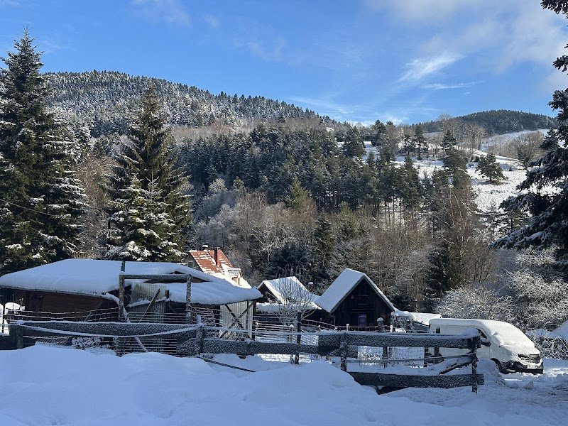 Pension canine Brette Céline - photo 1