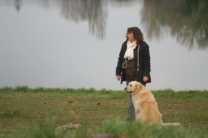 DOG ACADEMY - photo 1