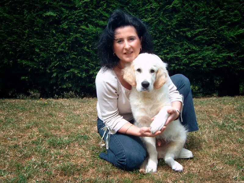 DOG ACADEMY - photo 2