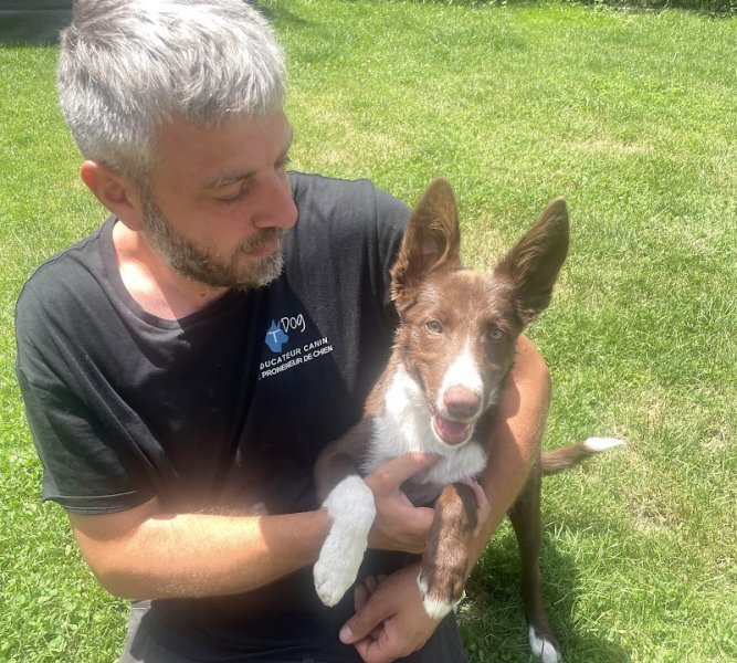 TDOG - Educateur Canin Grenoble et Comportementaliste