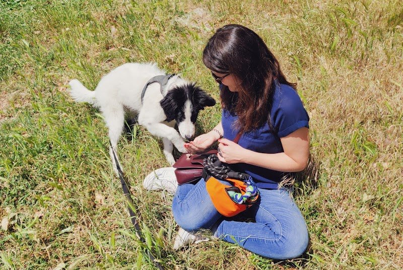 Clémence Chosson | Éducateur Comportementaliste Canin Félin