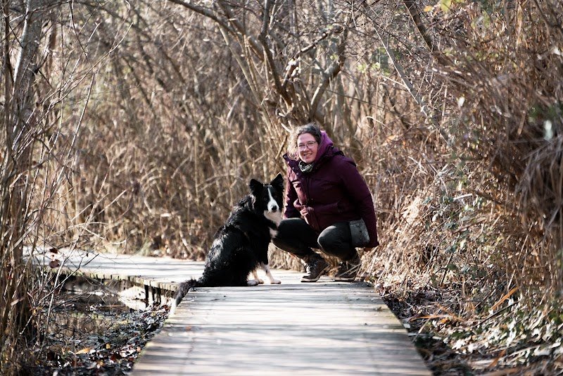 La main dans la patte éducateur canin comportementaliste à Grenoble - photo 2