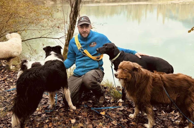 TDOG Éducateur Canin Grenoble & Promeneur de chien